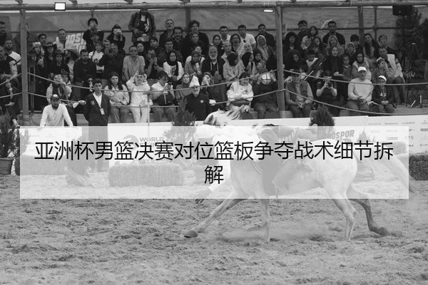ya-zhou-bei-nan-lan-jue-sai-dui-wei-lan-ban-zheng-duo-zhan-shu-xi-jie-chai-jie-1-200.jpg